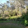 The Gully, Katoomba